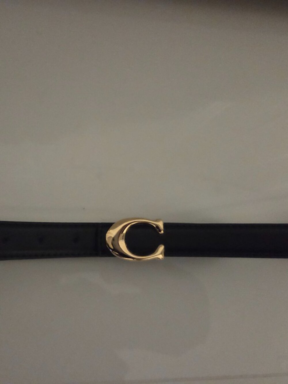 NWOT "C" Belt